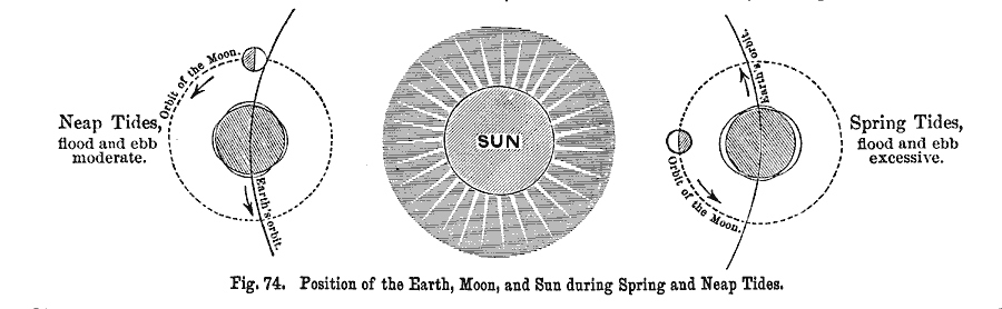 Position of the Earth, Moon, and Sun during Spring and Neap Tide