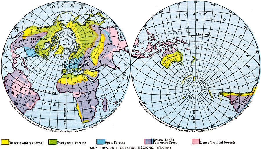 Map Showing Vegetation Regions