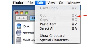 Edit, Copy or Paste