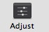 Adjust button