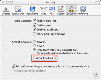 Safari Preferences, Security