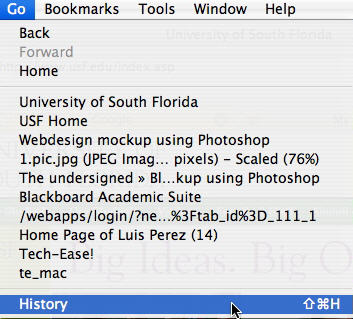 Firefox, Go, History