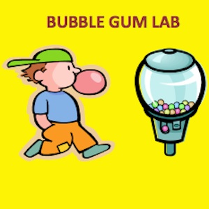 Bubble Gum Science Fair Project Bubble Gum Science Fair Project