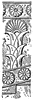 Persian Ornament
