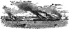 Burning of Confederate gunboats