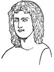 (70 -19 B.C.) Latin Poet. Wrote many works, most famously the Aeneid