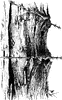 Fencepost, cutting into a tree