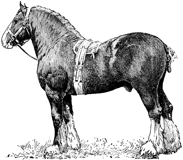 horse pull clipart - photo #1