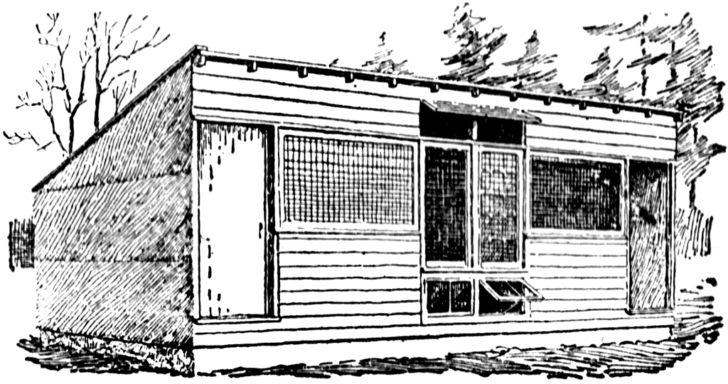 chicken house clipart - photo #23
