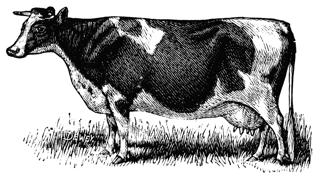 clip art holstein cow - photo #15