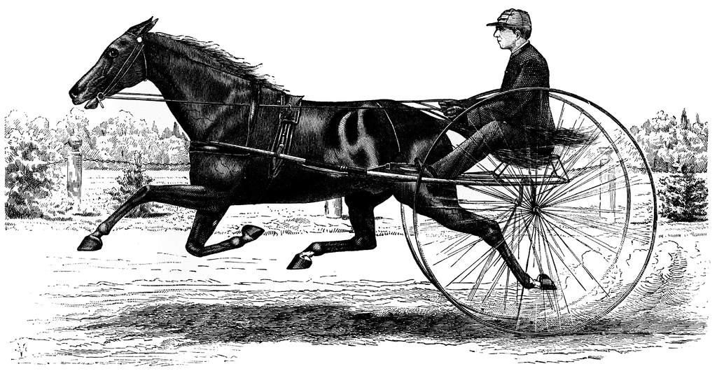 horse and buggy clipart - photo #35