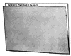 Letter Filing