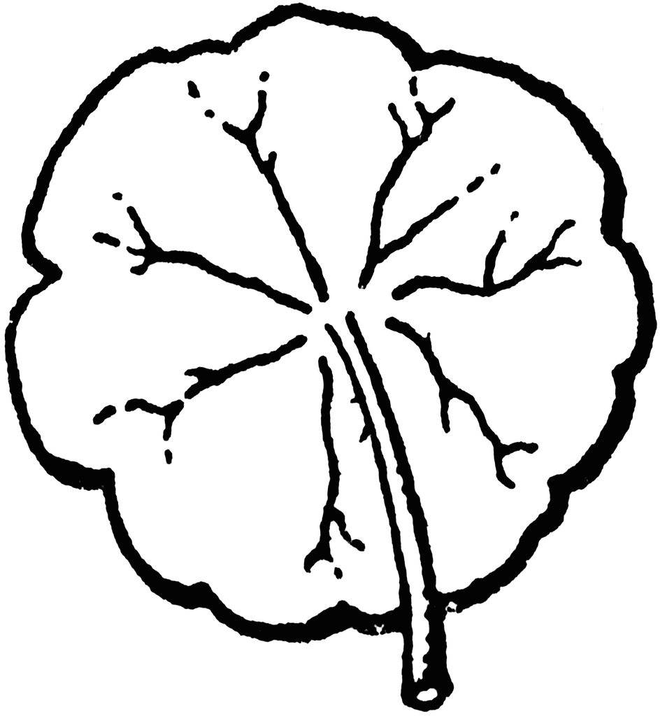 Peltate
