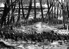 Battle of Stone River