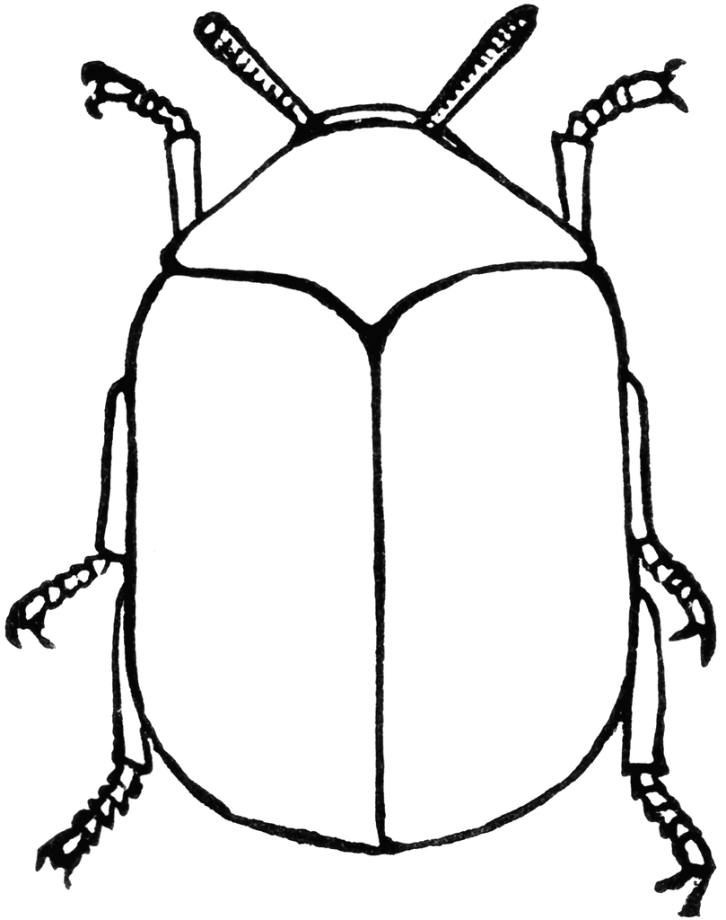 clipart insects black and white - photo #20