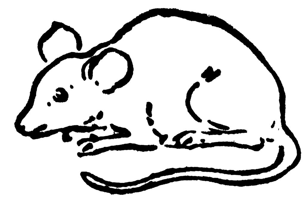 mouse clipart black and white - photo #35