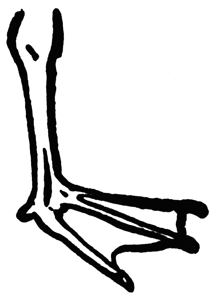 Duck Feet ClipArt ETC