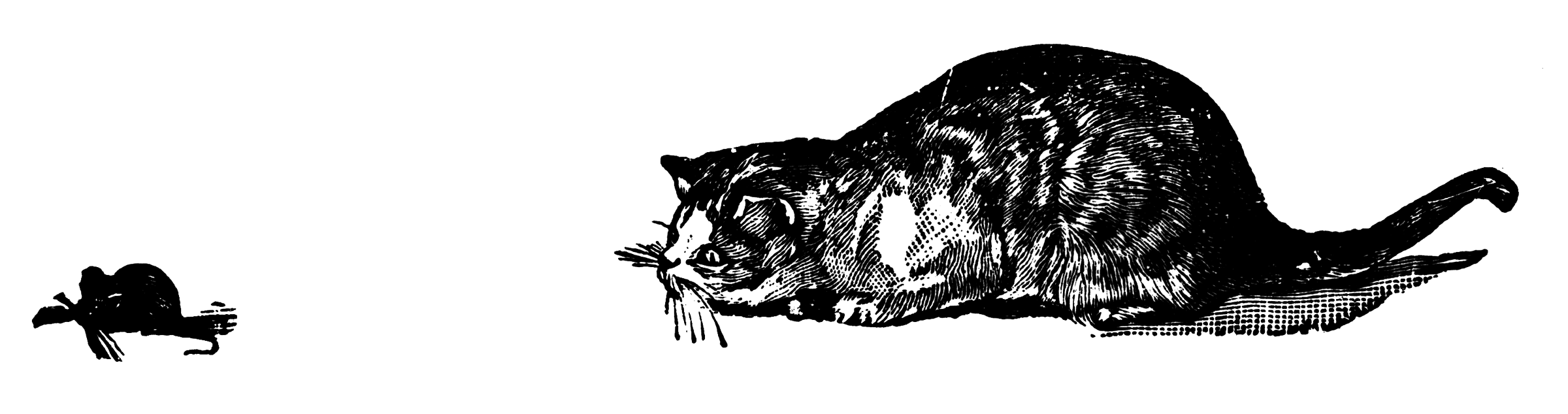 clipart cat and mouse - photo #11