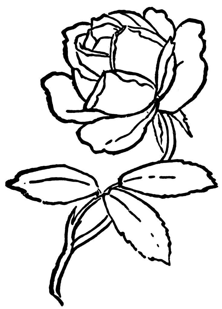 clip art rose flower. To use any of the clipart