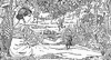 Elfin Grove