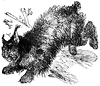 Canada lynx