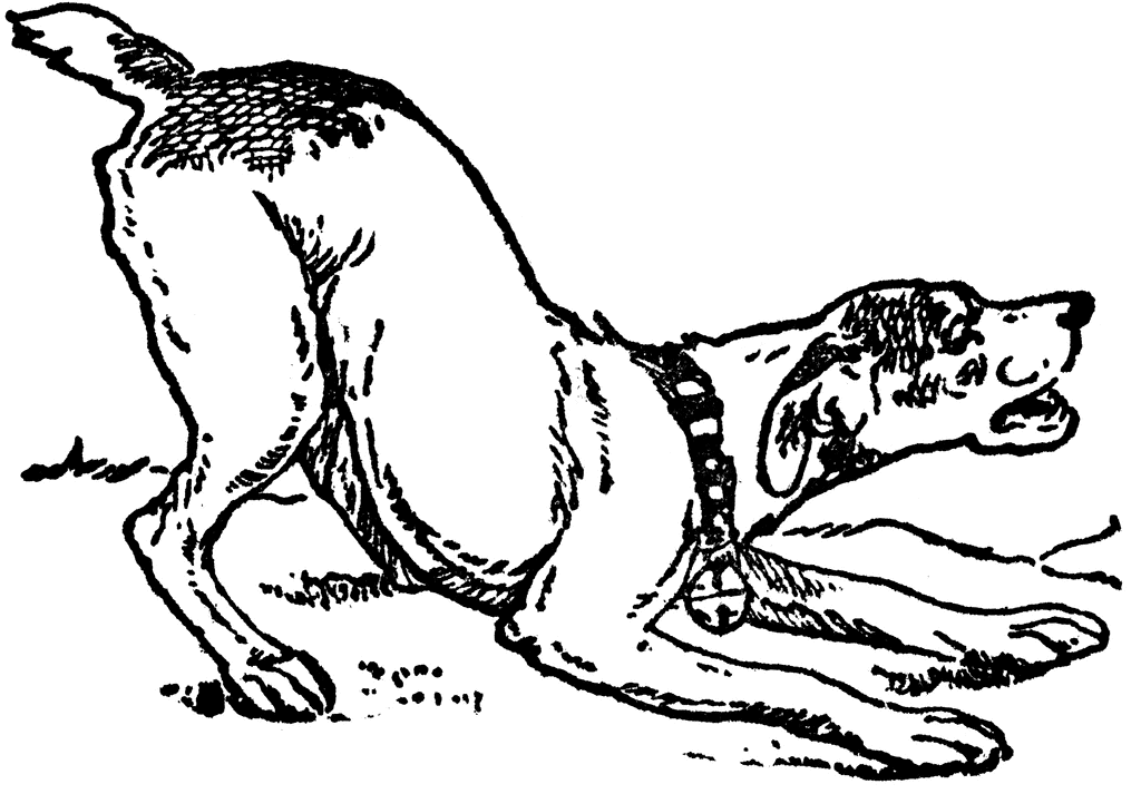dog clipart drawing - photo #30