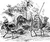 Africa scene