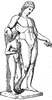 Apollo_Hycinthus