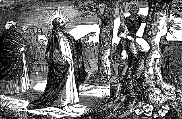 clipart jesus and zacchaeus - photo #31