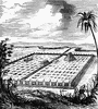 Babylon