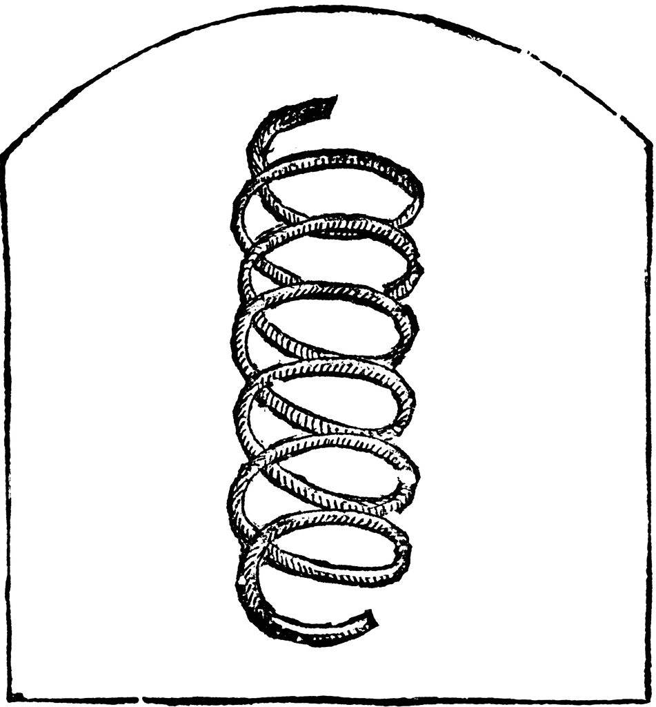 clipart coil spring - photo #5