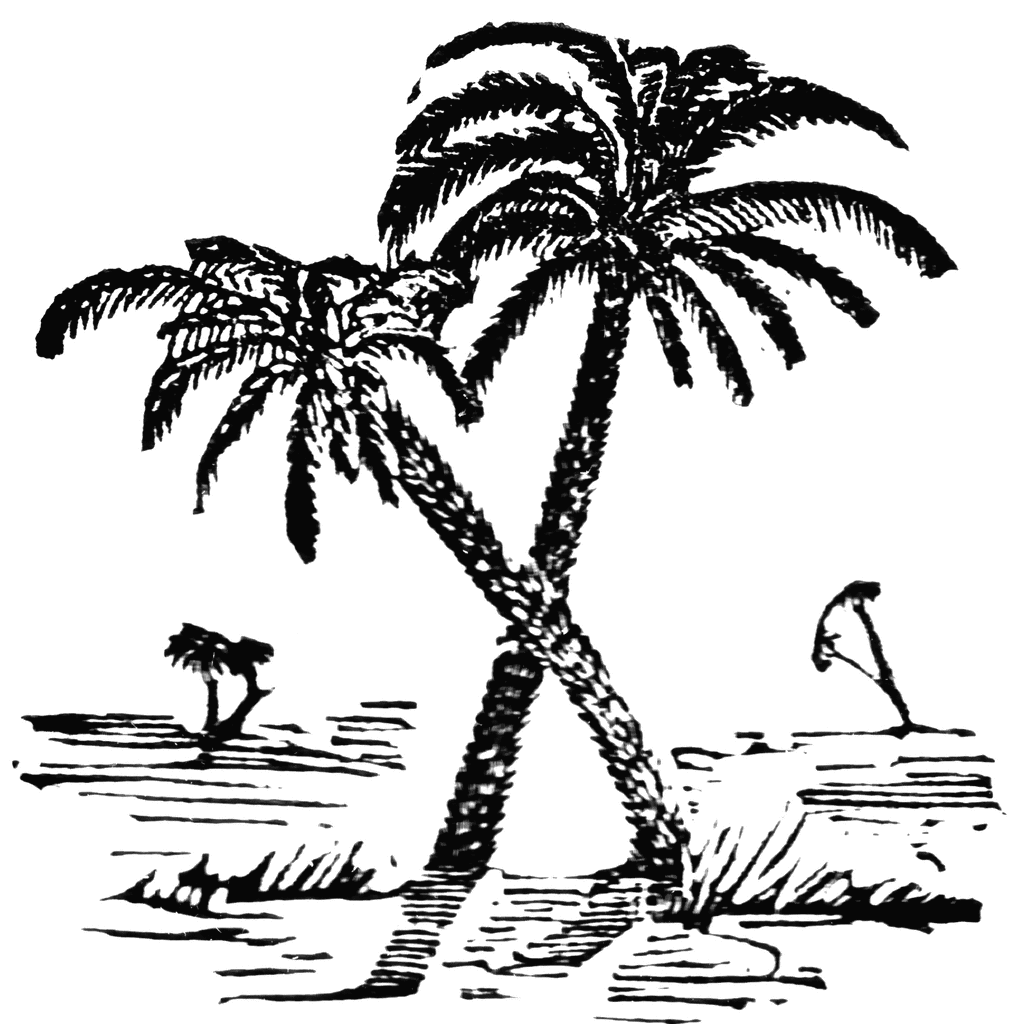 clip art tree outline. date palm tree clip art. dates