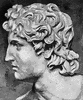 Alexander
