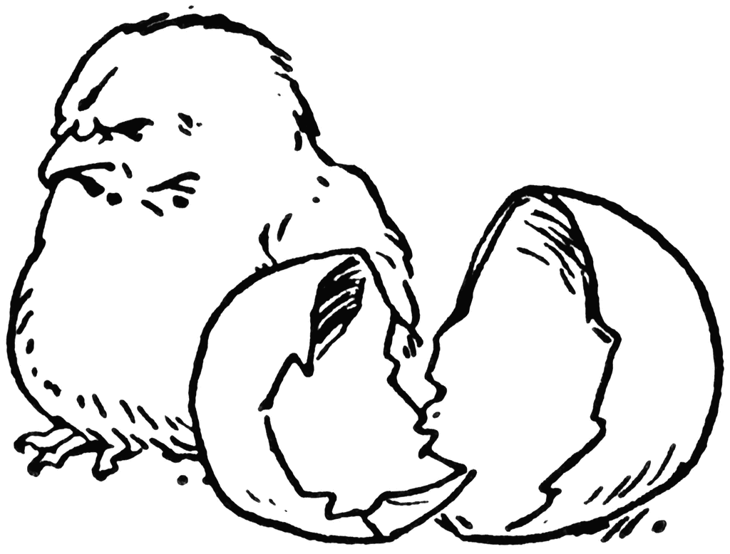 chick hatching clipart - photo #46