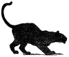Mowgli's Brothers