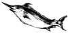 Swordfish