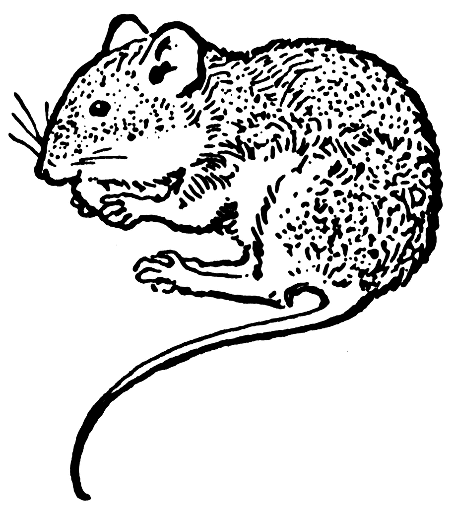 black and white mouse clipart free - photo #22