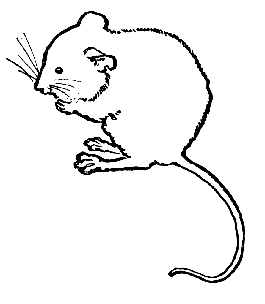 mouse clipart black and white - photo #10