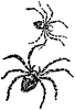 Spiders