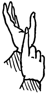 Y