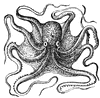wittgen Avatar
