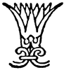 Lotus Design