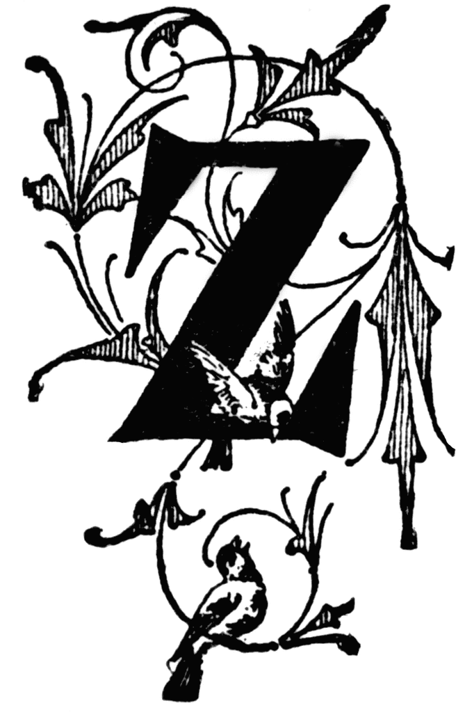 Z, Floral initial | ClipArt ETC