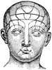 Human Head