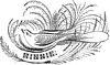 Calligraphic Banner