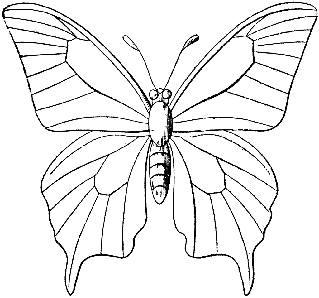 Butterfly Outline To use any of the clipart images above including the