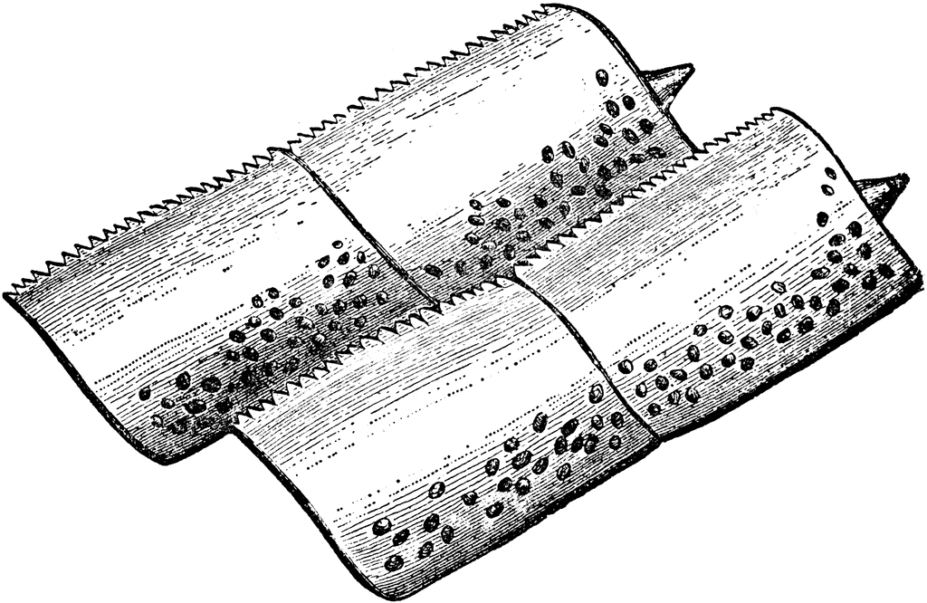 Ganoid Fish Scales