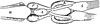 Polypterus Brain