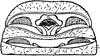 Thelyphonus assamensis