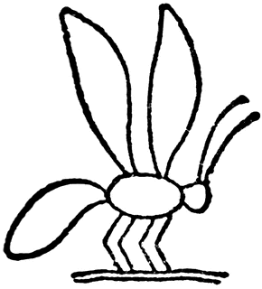 Bee Heiroglyph